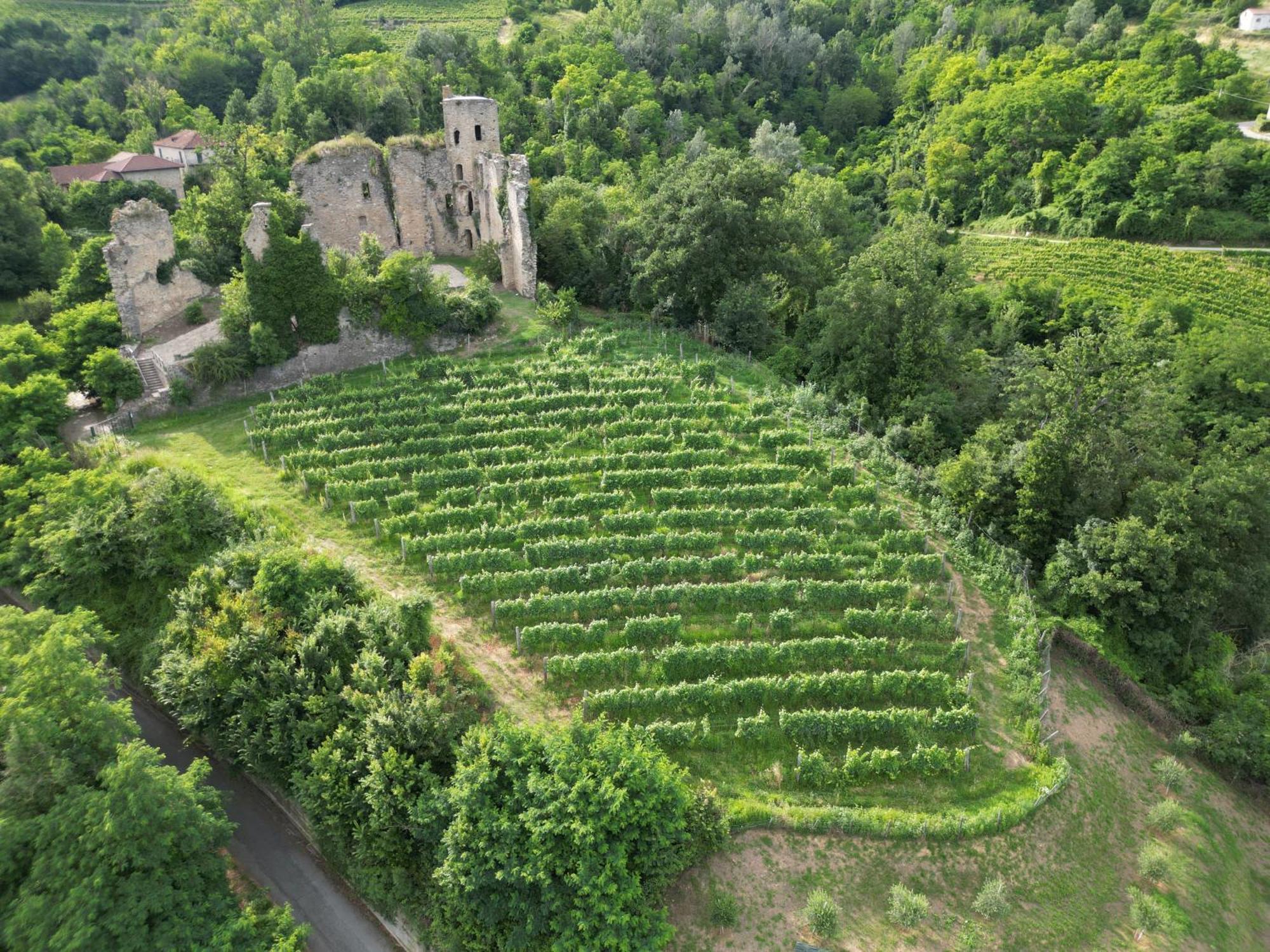Villa Gelso Vesime Екстериор снимка